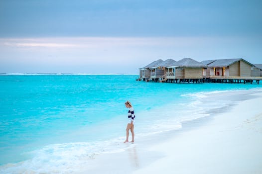 Coastal Retreats and Starry Walks at Shorecrest Hotel