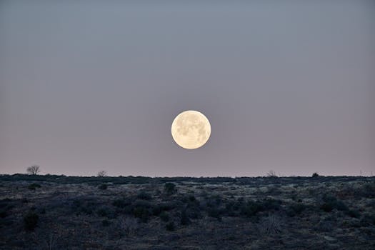 Desert Dusk and Crystal Stillness at Sandlyn Pavilion