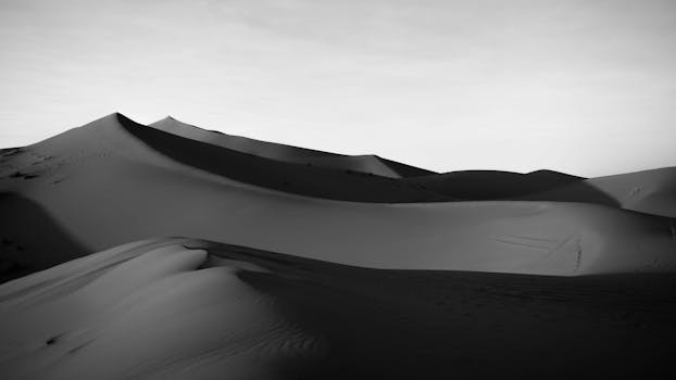 Desert Gold and Earth Harmony at Miragepine Hotel