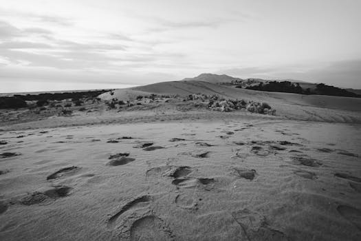 Desert Silence and Timeless Grace at Mirageview Lodge