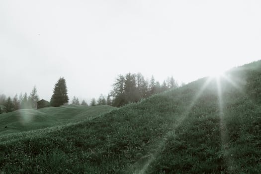 Forestside Lodge and Morning Dew at Pineveil Valley
