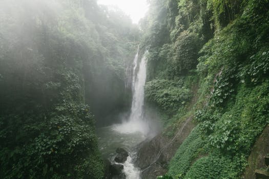 Jungle Energy and Rainforest Zen at Wildtrail Retreat