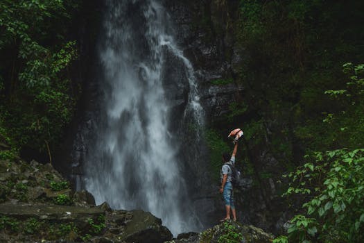 Jungle Stillness and Natural Flow at Wildstone Escape
