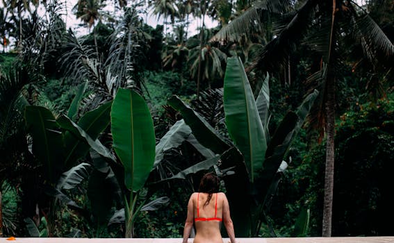 Rainforest Hush and Jungle Design at Wildlyn Retreat