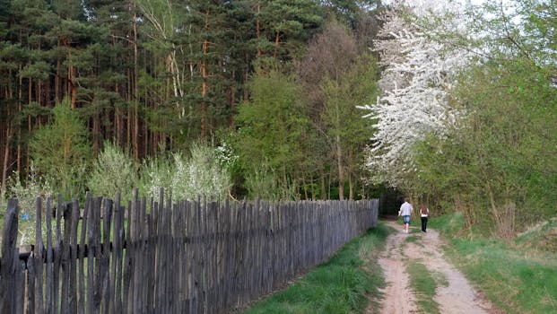 Wildflower Paths and Forest Stories at Pineshade Inn
